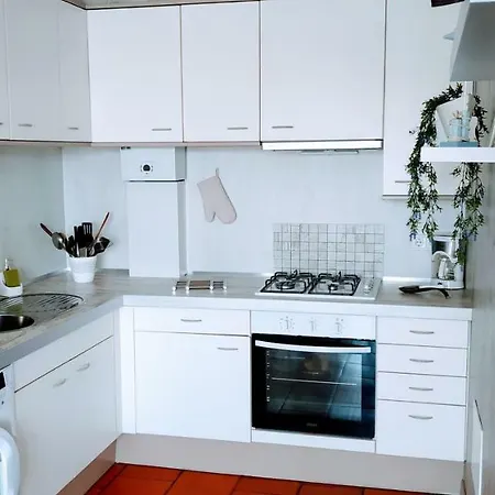 Apartment R. Teixeira Da Mota